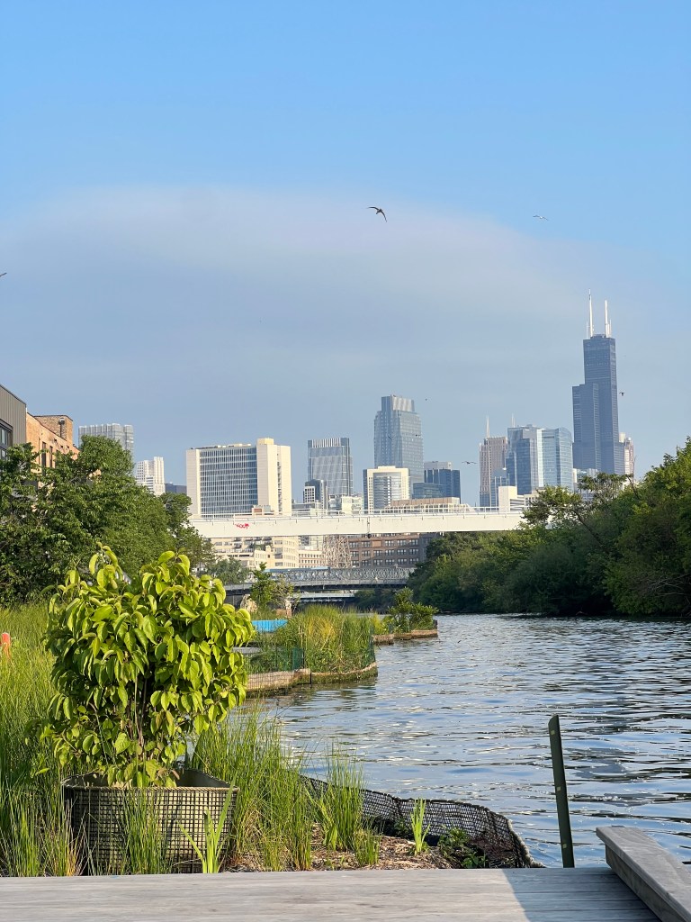 No. 2 – Remarkable&nbsp;Coincidences