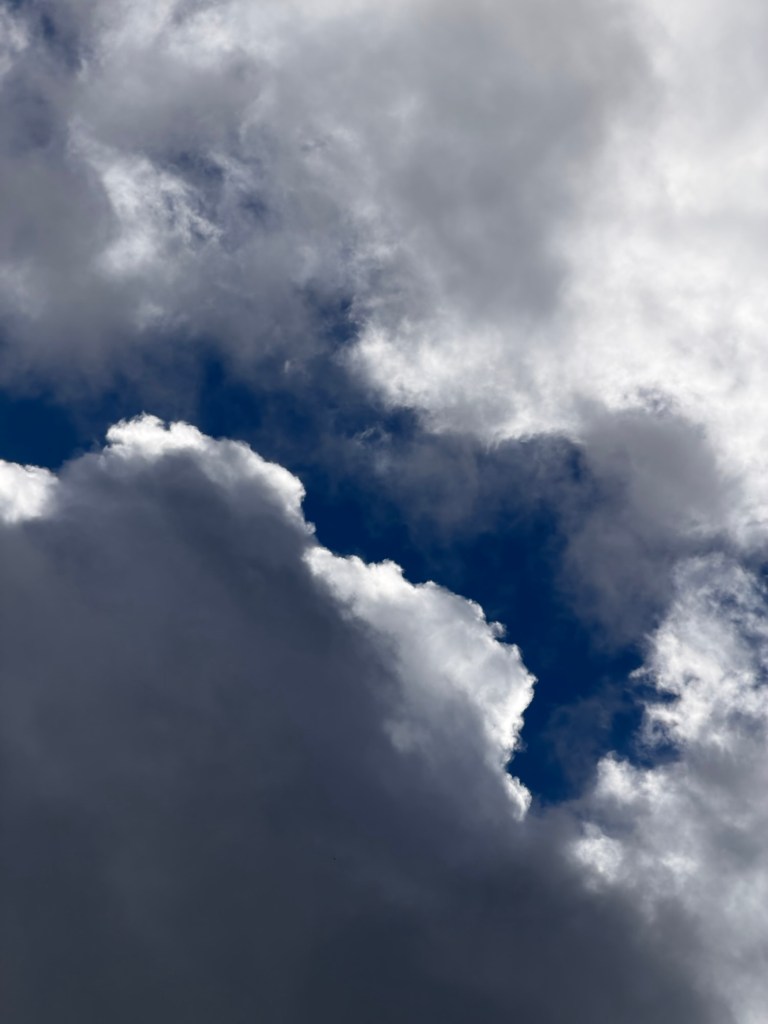 No. 8 – Buildings and&nbsp;Spoons